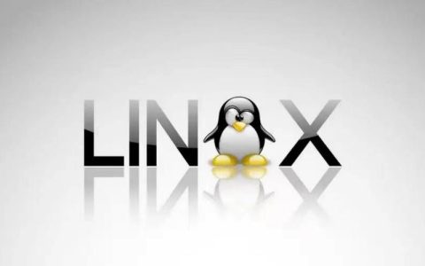 linux vi命令的用法（linux vi命令详解）