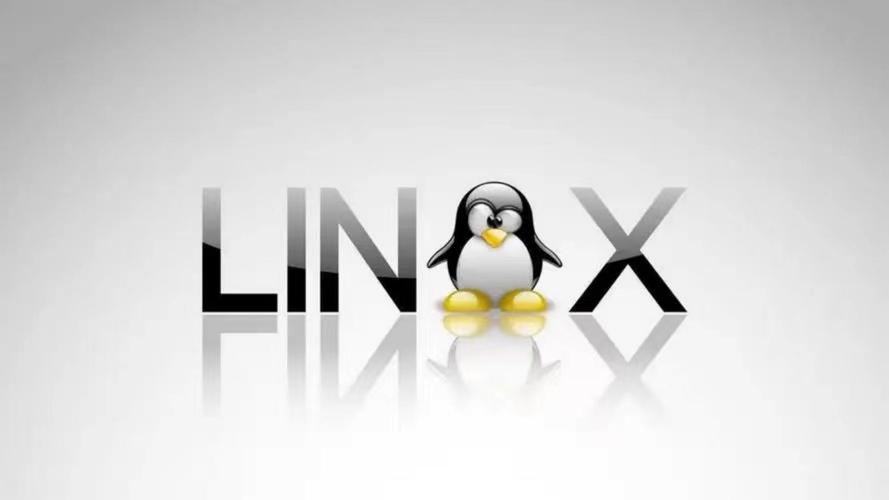 linux系统手机安装教程