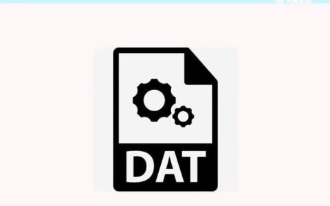 DAT文件是什么格式?如何打开和转换
