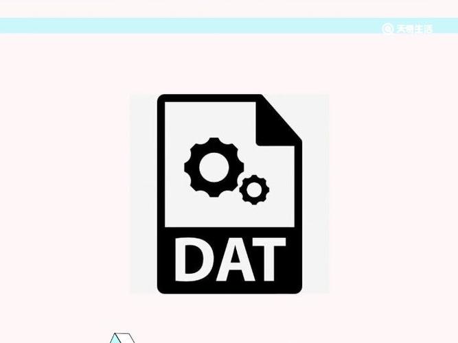 DAT文件是什么格式?如何打开和转换