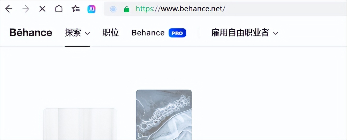 Behance设计官网怎么进? Behance设计官网入口
