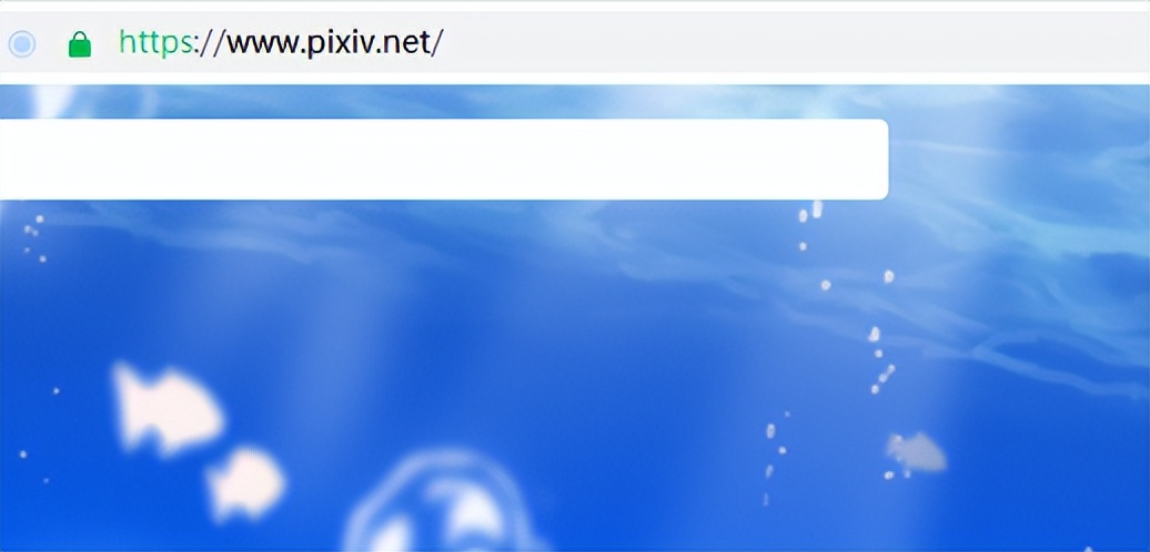 Pixiv网址入口在哪？Pixiv的官网网址