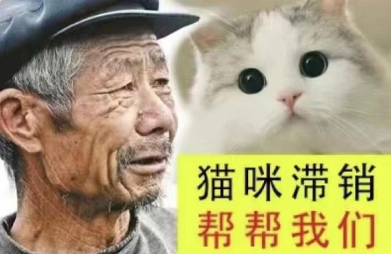 滞销是什么意思？如何避免商品滞销？
